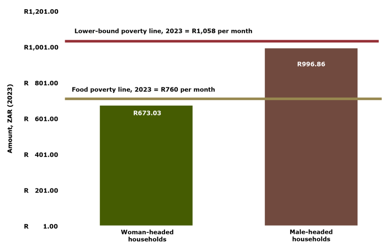 Hunger, poverty, and women: report on households earning a living from ...